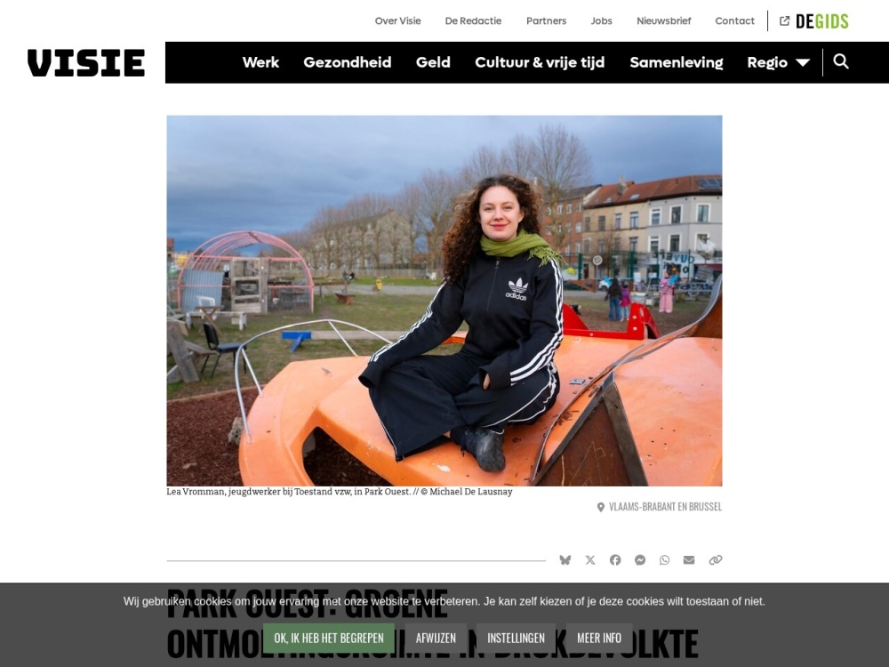 Screenshot van het artikel 'Groene ontmoetingsruimte in drukke wijk' op Visie